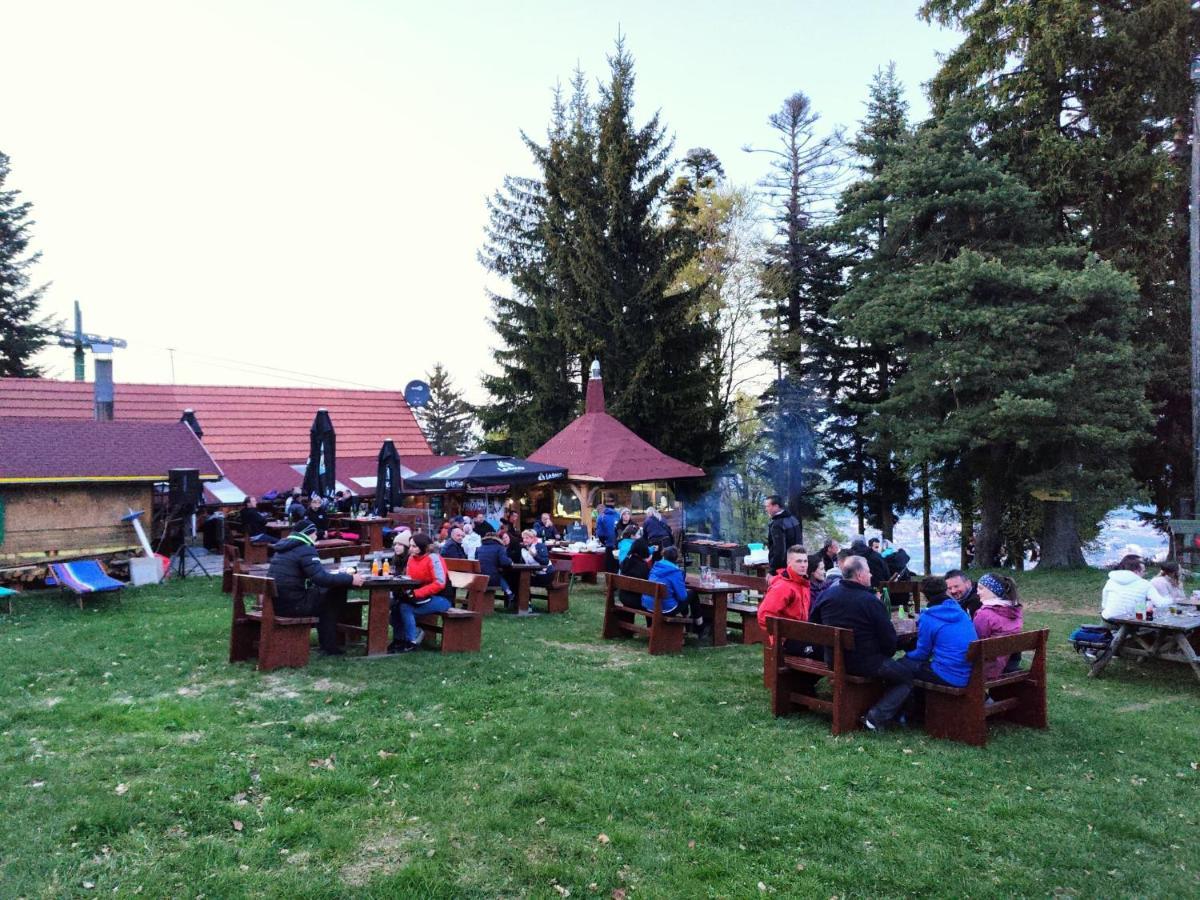 Brunarica Planika Mtb Point Maribor Exterior foto